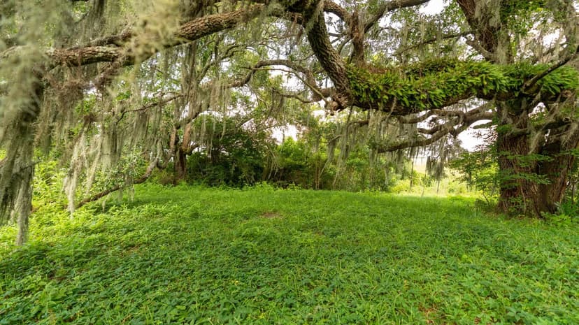 Pascagoula River Investment and Recreation