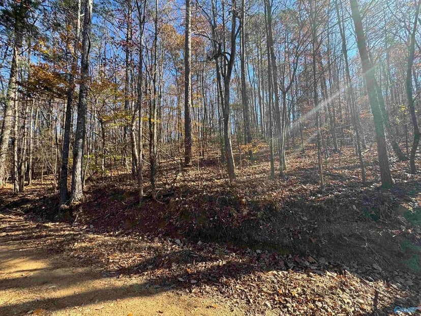 Lots & Land-Other in Collinsville