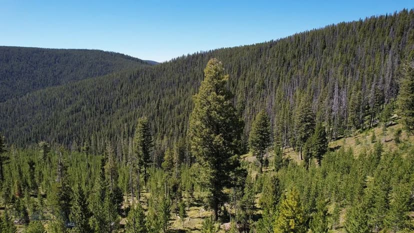 Property from NHN SANG LODE MS 6289 - KW