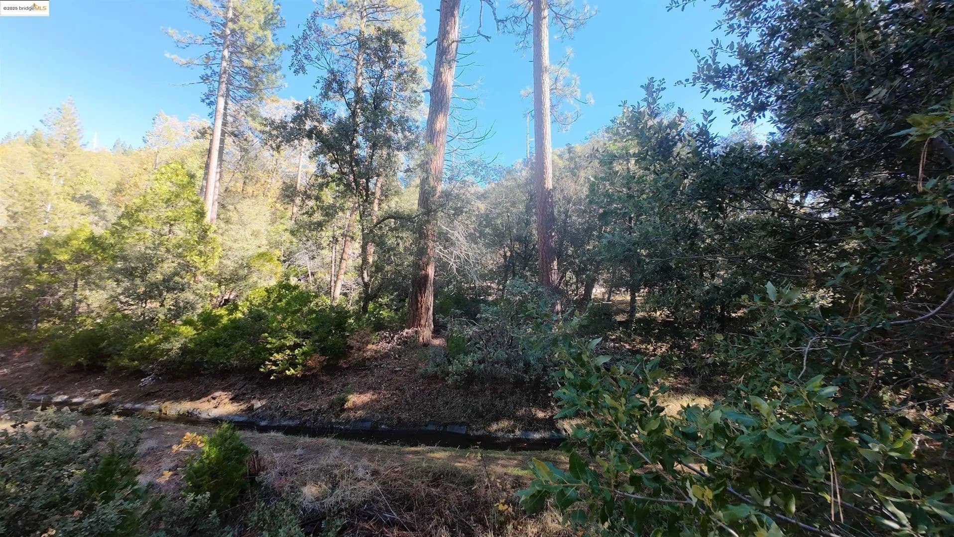 Lots & Land-Other in Twain Harte - Twain Harte, California, 95383