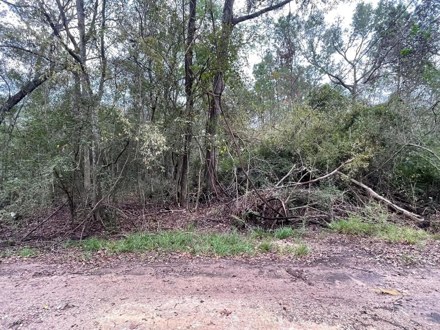 Lots & Land-Other in Humble - Humble, Texas, 77338