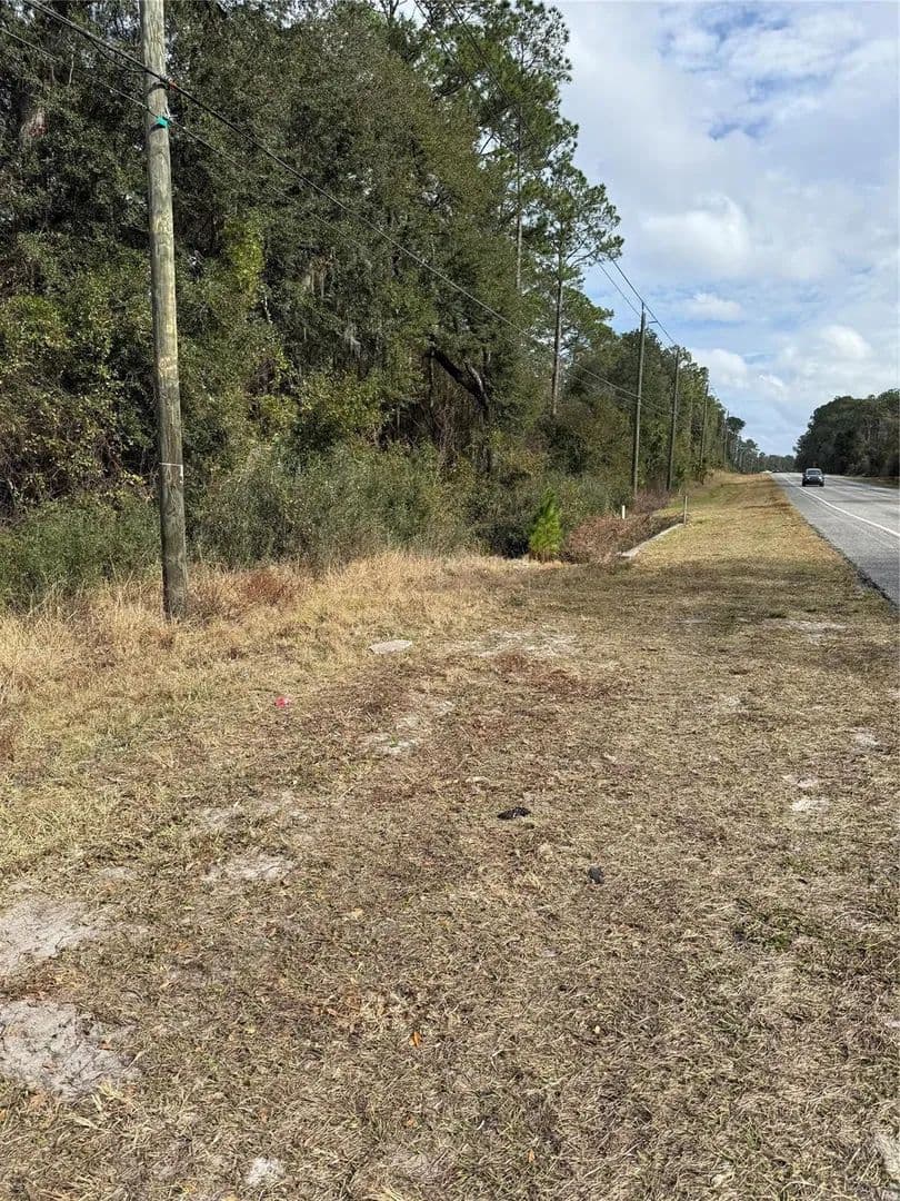 Vacant Land in Crescent City - Crescent City, Florida, 32112
