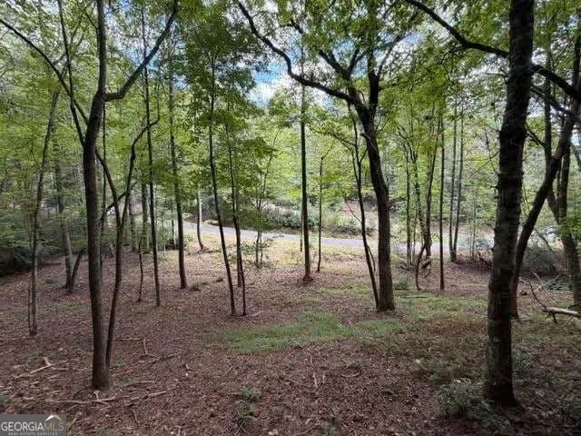 Lots & Land-Other in Ellijay - Ellijay, Georgia, 30540