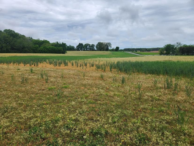 Lots & Land-Other in Manchester