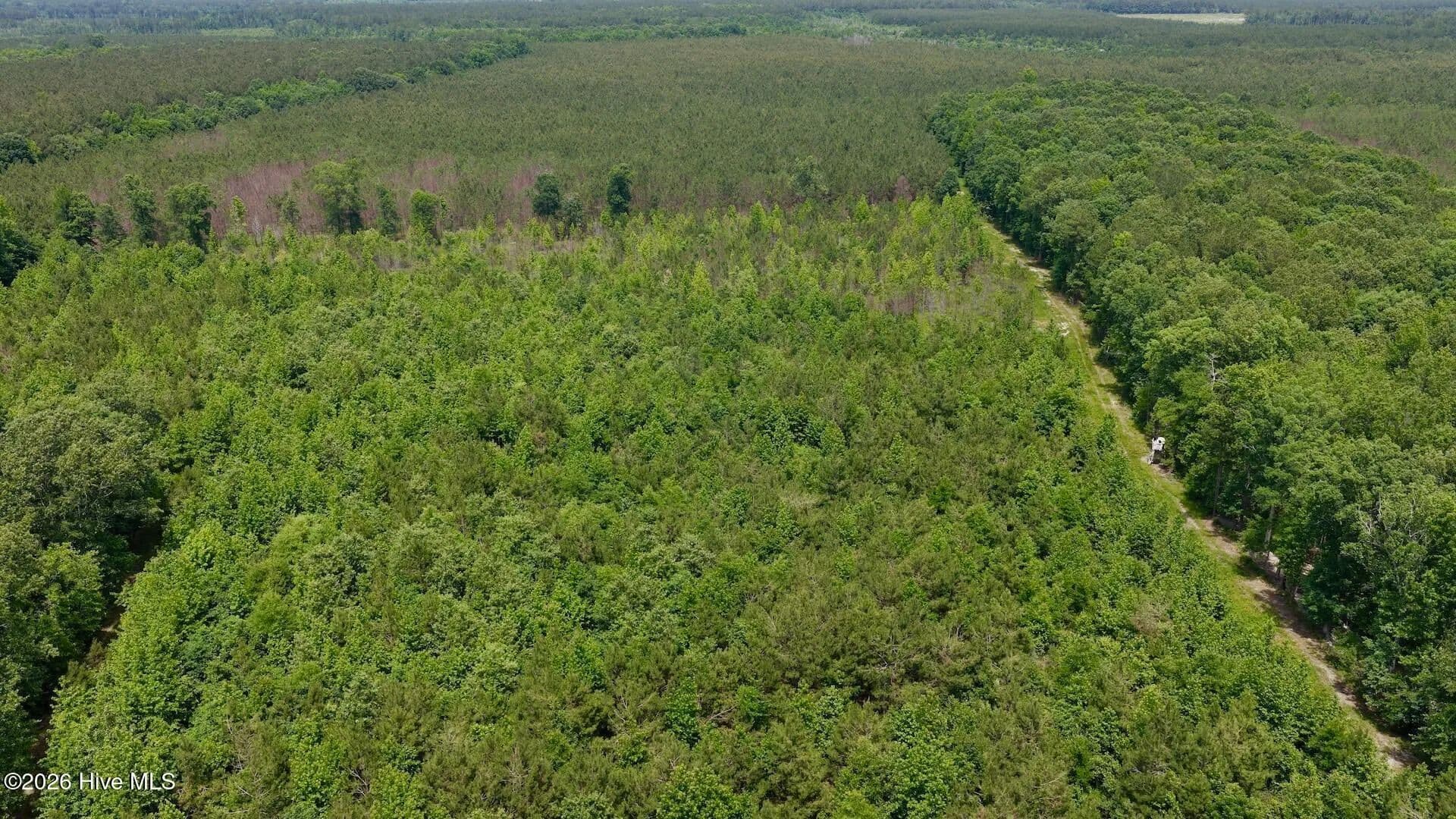 Property from 0 Indian Woods Road - KW - Windsor, North Carolina, 27983