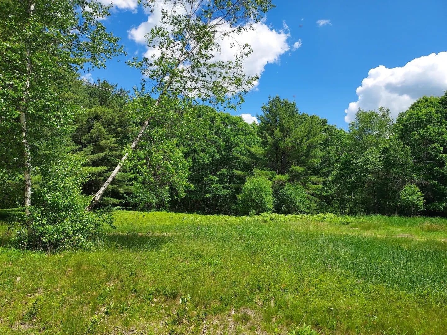 1 Acre of Land for Sale in Deblois, ME - Deblois, Maine, 04622