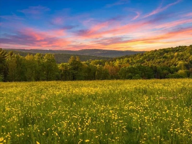 Vacant Land in Binghamton - Binghamton, New York, 13905
