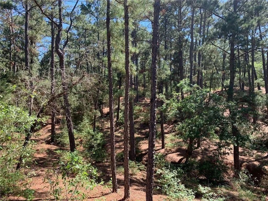 Vacant Land in Bastrop - Bastrop, Texas, 78602