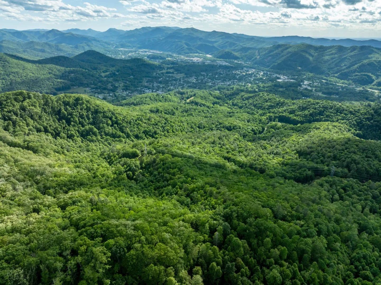 29.95 Acres of Land for Sale in Unicoi, TN - Unicoi, Tennessee, 37650