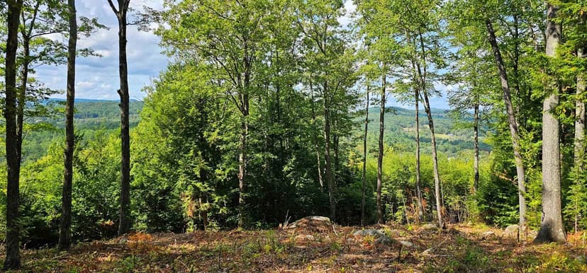 Vacant Land in Henniker