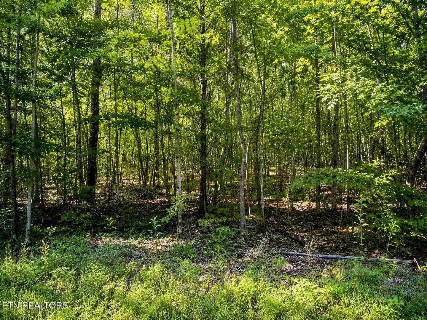 Property from Lot 5 Keylon Hollow Road - KW - Ten Mile, Tennessee, 37880