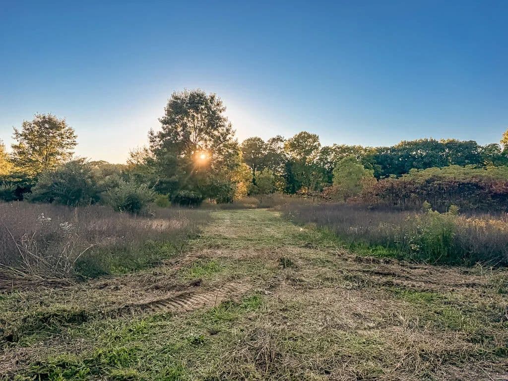 3.17 Acres of Land for Sale in Saugatuck, MI - Saugatuck, Michigan, 49453