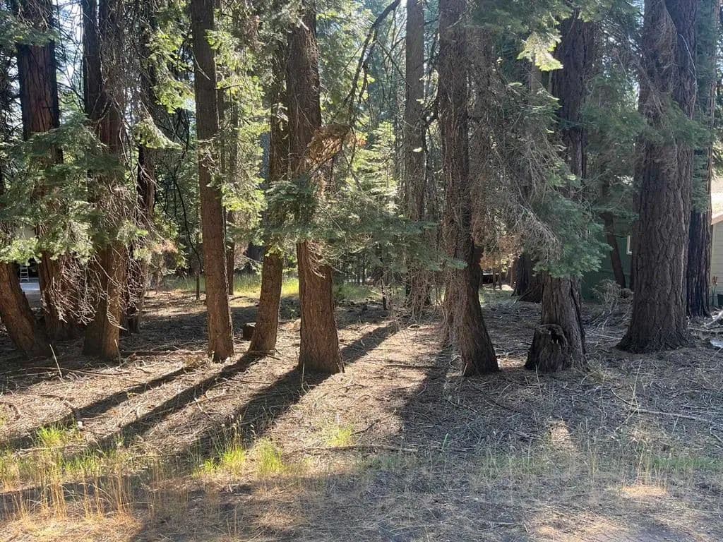 Vacant Land in Lake Almanor - Lake Almanor, California, 96137