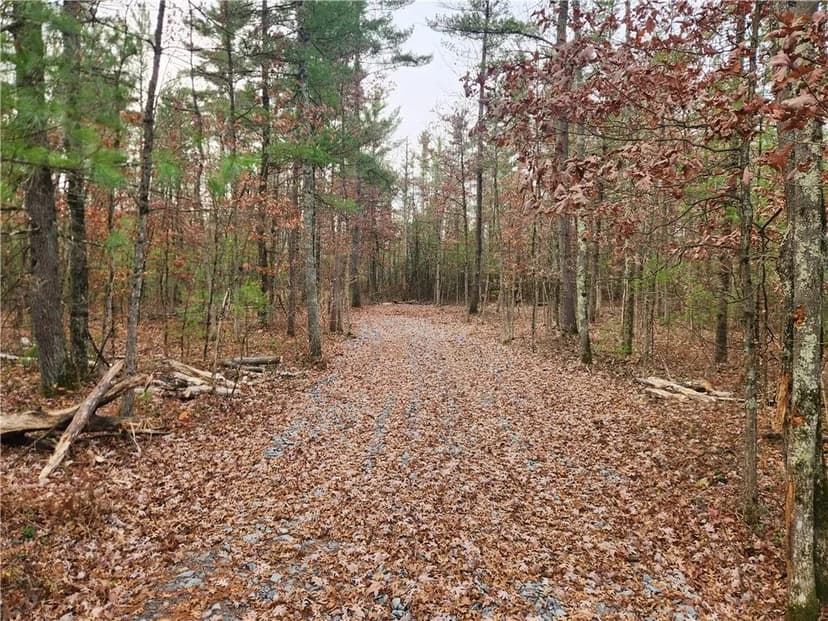 Vacant Land in Merrillan