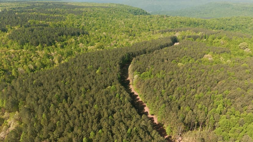 33 Acres in Marion County, TN