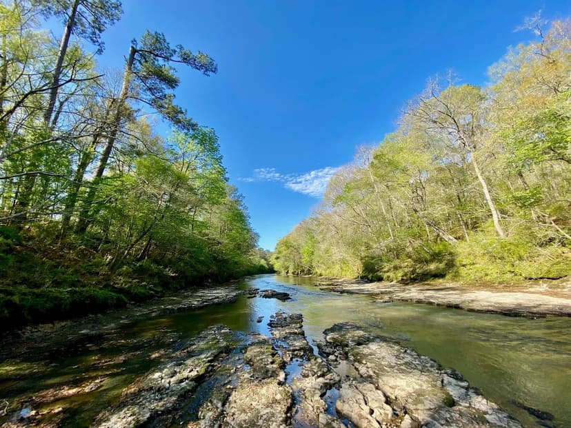 Strong River Hideaway