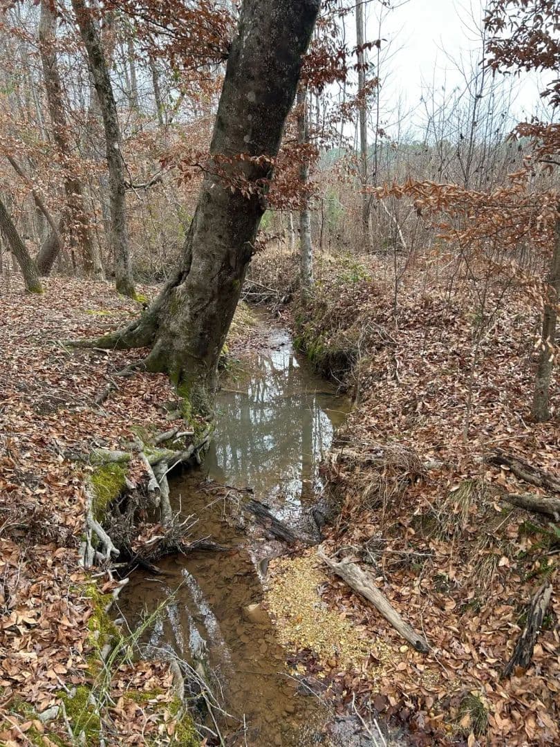 Carters Branch 44.23