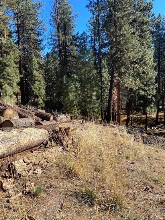 Vacant Land in Portola - Portola, California, 96122