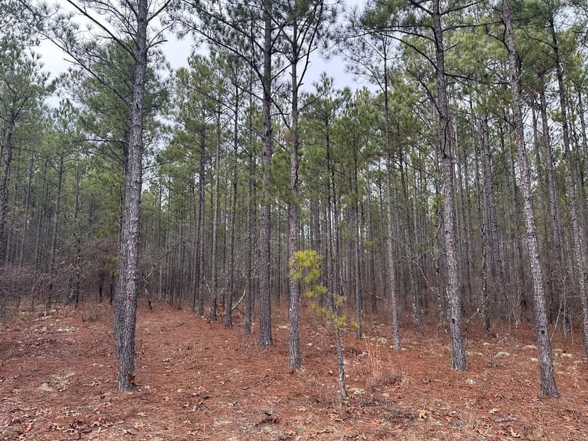 5.12 ± Hunter Drive - Marion Co., GA