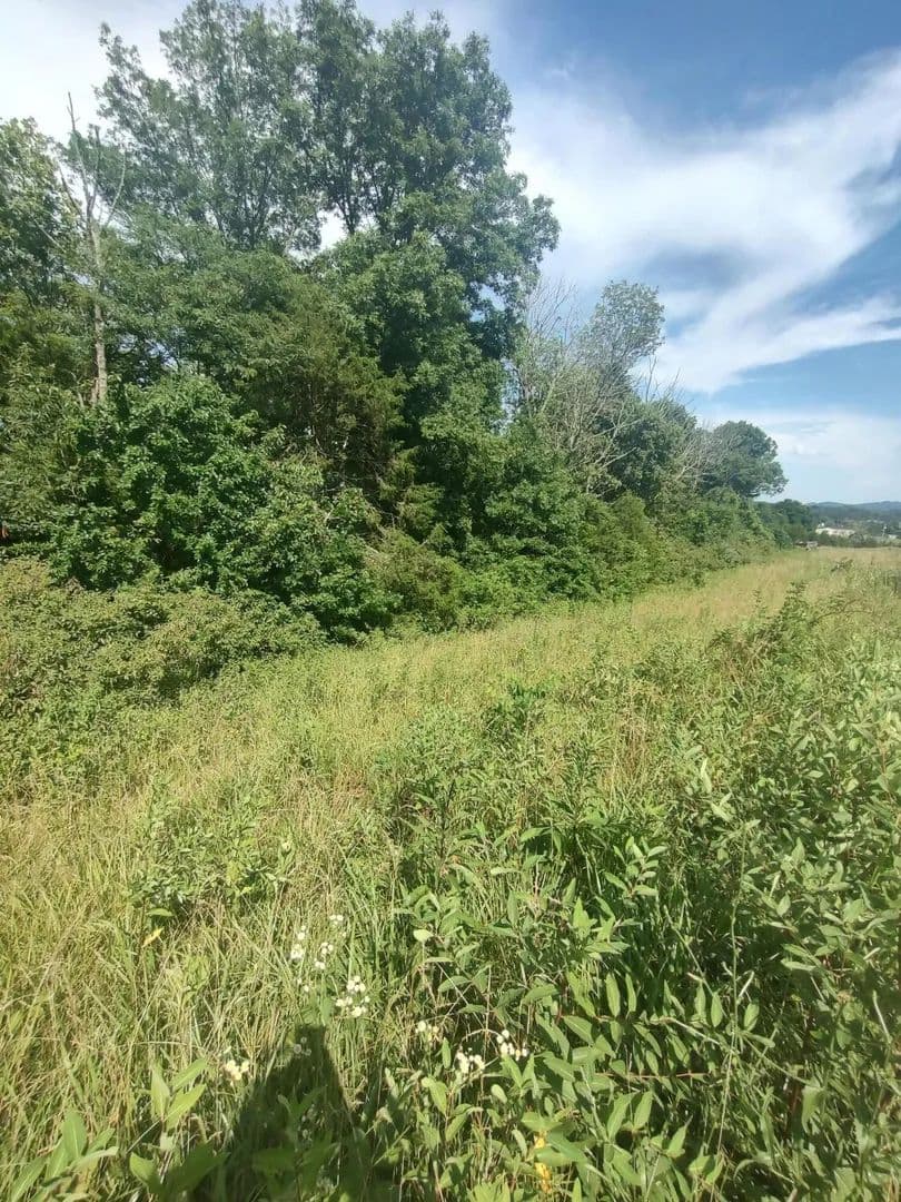 Vacant Land in Mt Sterling