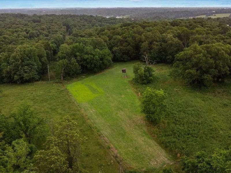Lots & Land-Other in Decatur - Decatur, Arkansas, 72722