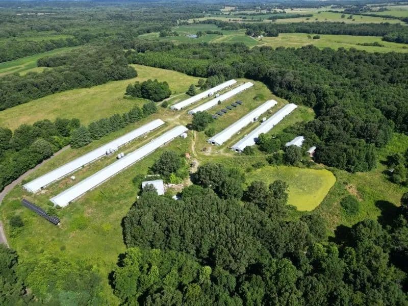 Enon Church Road Farm – Six House Broiler Farm - Crittenden Co, Kentucky - Providence, Kentucky, 42450