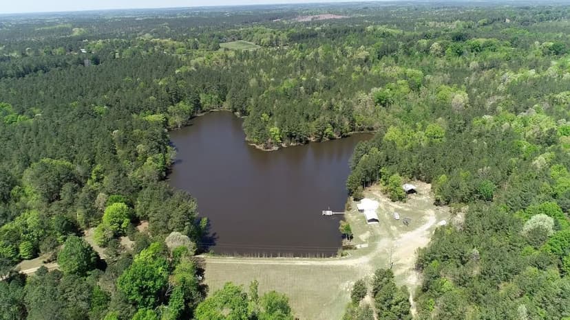 White Oak Fish Camp