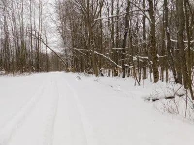 Mead Road Masterpiece