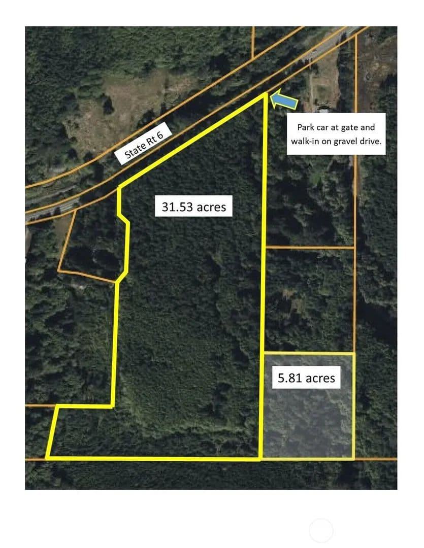 Lots & Land-Other in Pe Ell - Pe Ell, Washington, 98572