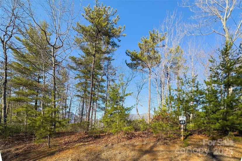 Property from Lot #45 Fox Ridge Trail - KW