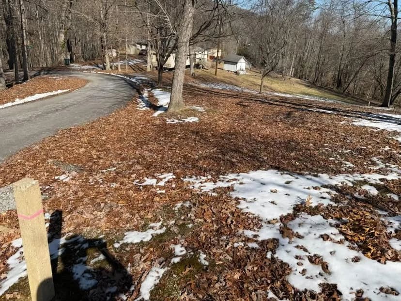 Lots & Land-Other in Pineville