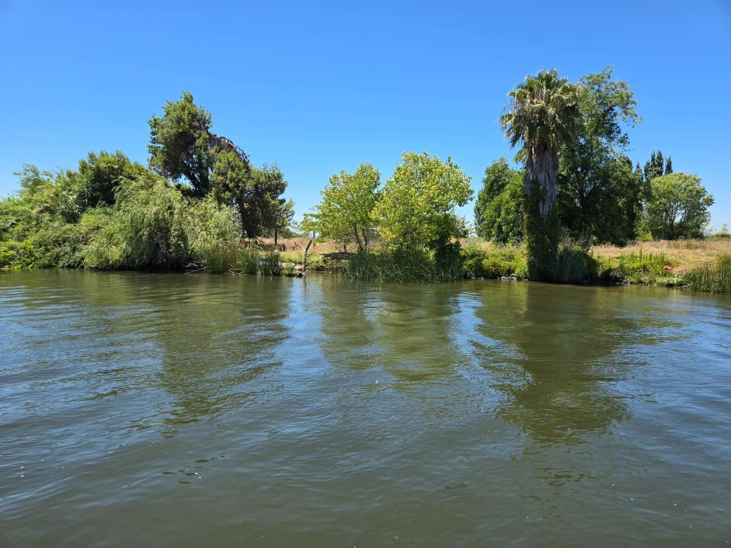 Morrison Island, San Joaquin Delta - Stockton, California, 95219