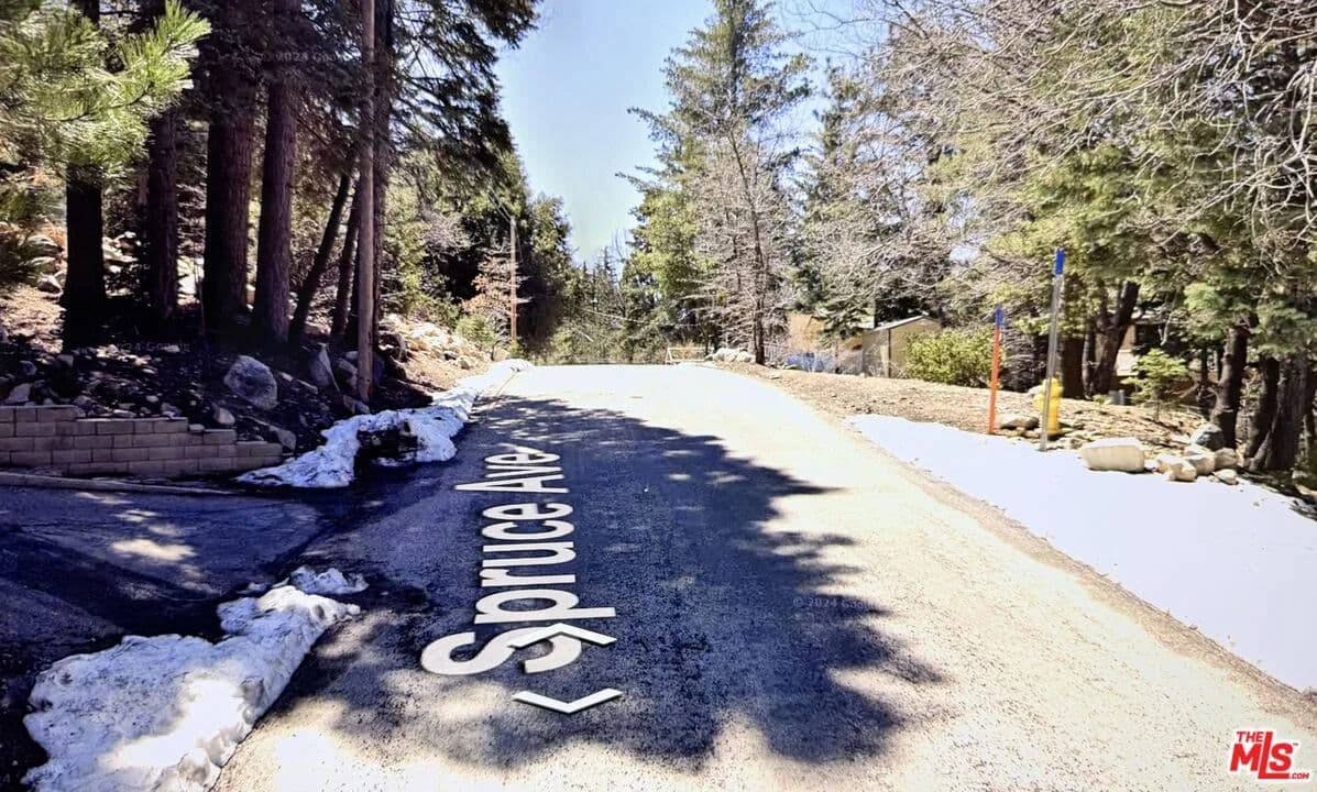 Vacant Land in Angelus Oaks - Angelus Oaks, California, 92305