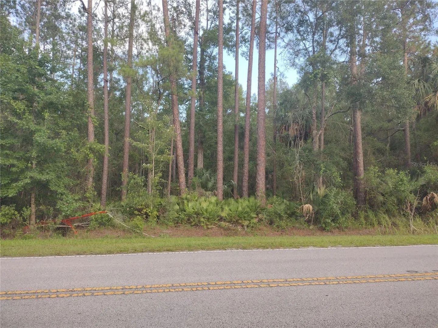 3.01 Acres of Land for Sale in SILVER SPRINGS, FL - Silver Springs, Florida, 34488