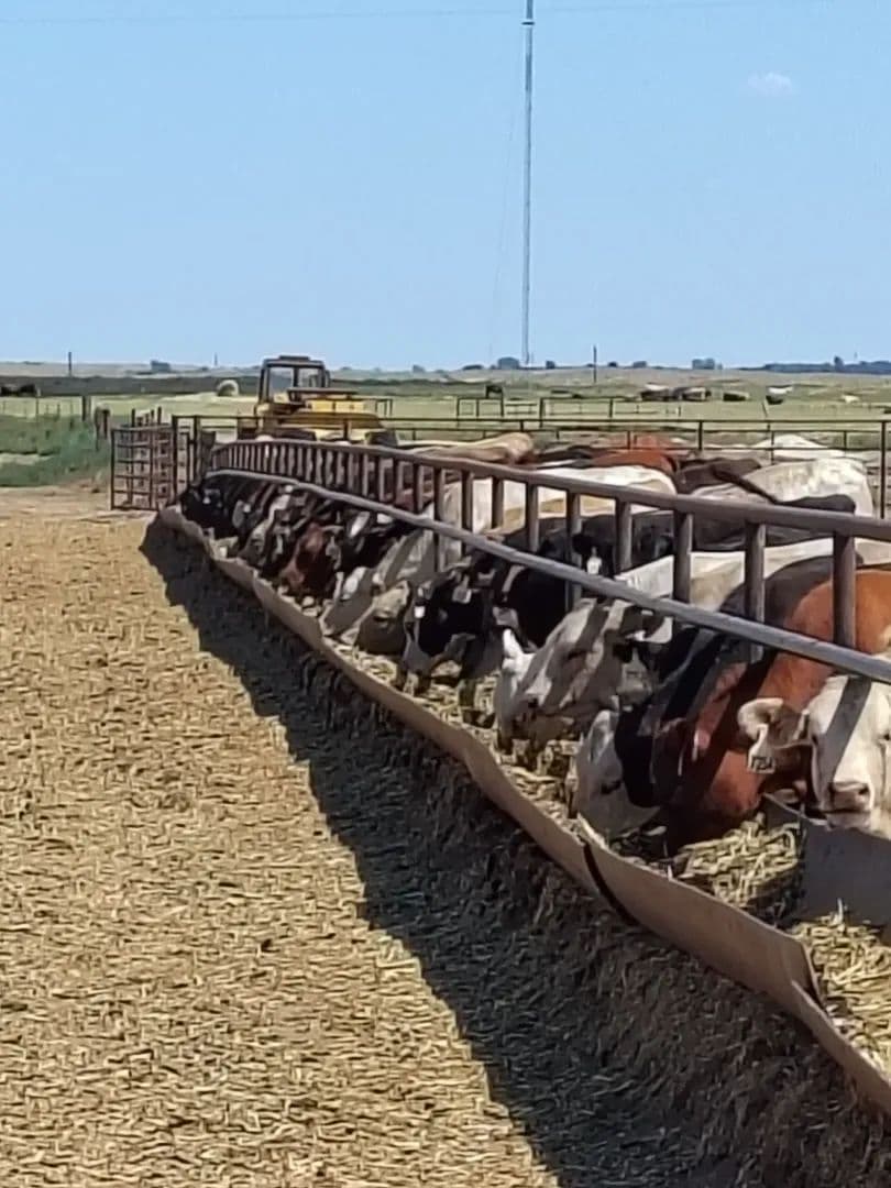 Irrigated Farmland with Cattle Feeding Facilities - Oklahoma,