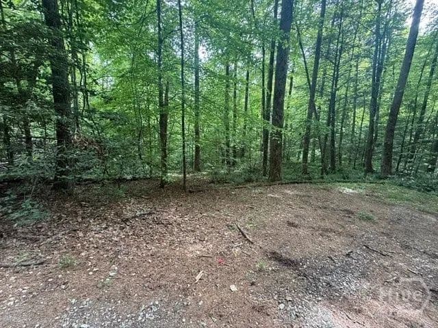 Vacant Land in Clayton - Clayton, Georgia, 30525