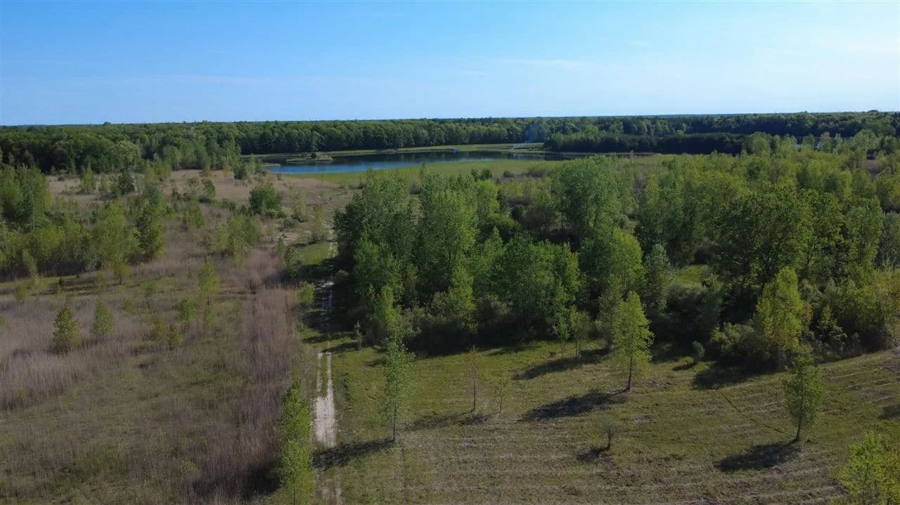 39.5 Acres of Land for Sale in Columbus, MI - Columbus, Michigan, 48063