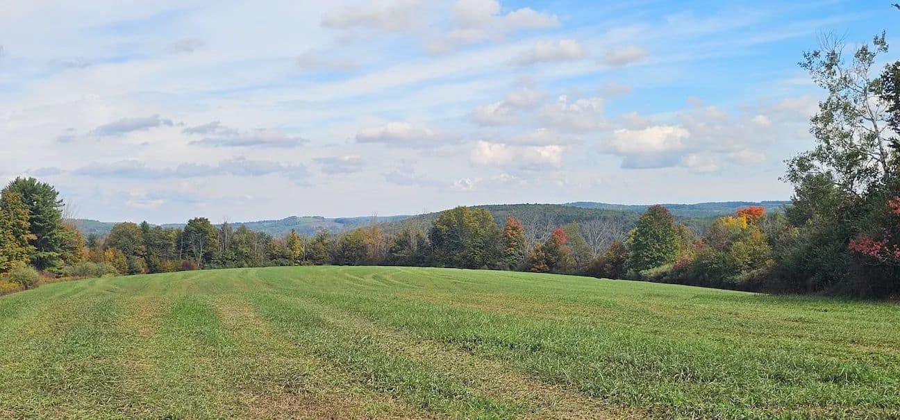 47 acre Hunting and Recreational Property in Rathbone NY Learn Rd - Cameron Mills, New York, 14820