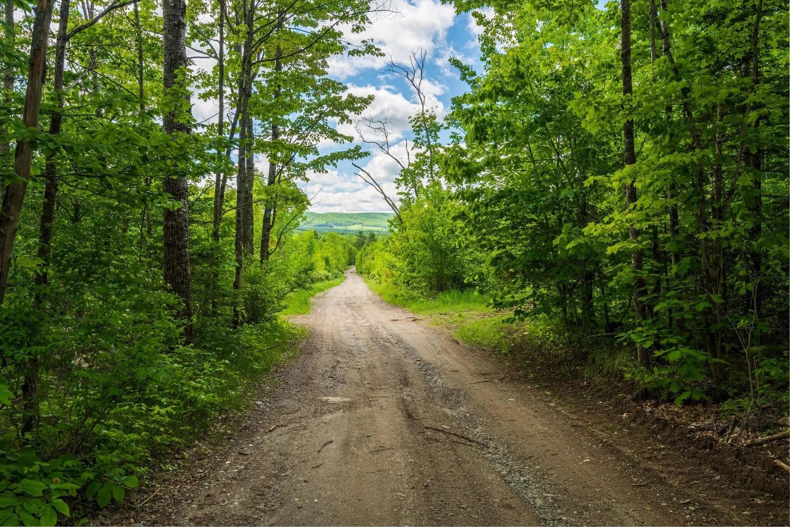 300 Acres of Land for Sale in Dixmont, Maine - Dixmont, Maine, 04932