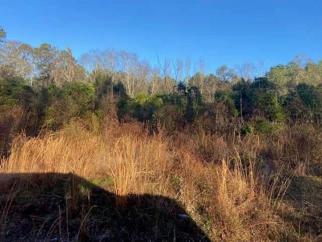 Property from 1600 Cr 39 - KW - Paulding, Mississippi, 39348