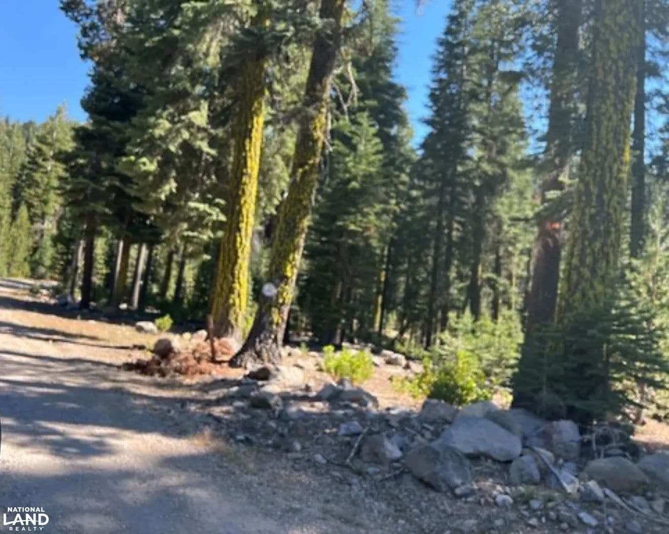 160 ac w/Creek Surrounded by National Forest - Viola, California, 96088