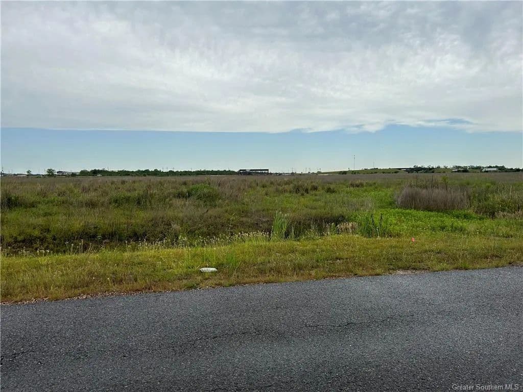 Vacant Land in Lacassine - Lacassine, Louisiana, 70650