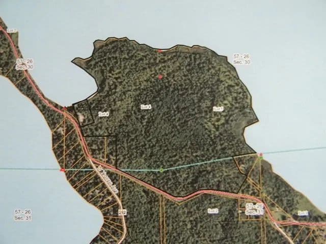 Vacant Land (10+ Acres) in Deer River - Deer River, Minnesota, 56636
