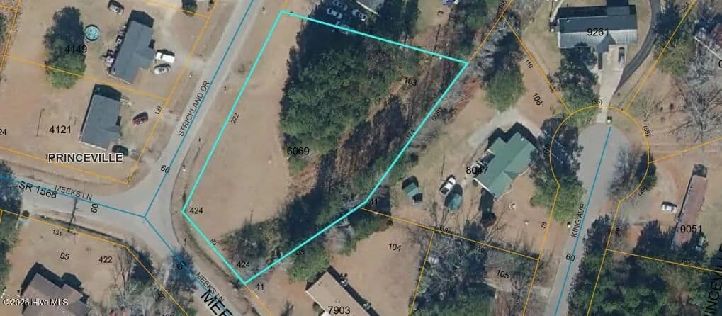 Property from 508 Strickland Drive - KW - Princeville, North Carolina, 27886