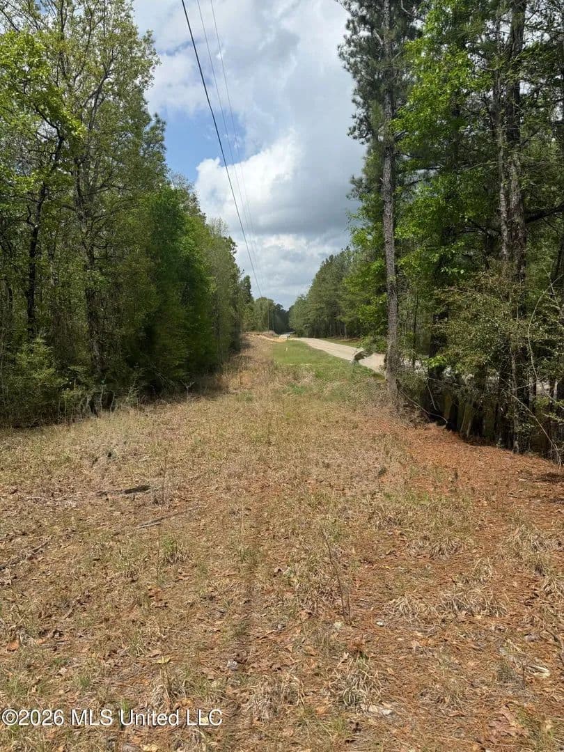 Vacant Land in Hattiesburg - Hattiesburg, Mississippi, 39401