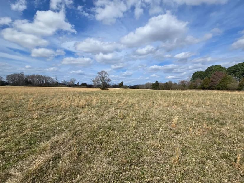 Premier 200 +/- Acres on Lake Conway | Development, Commercial, Recreational, or Ranch Opportunity