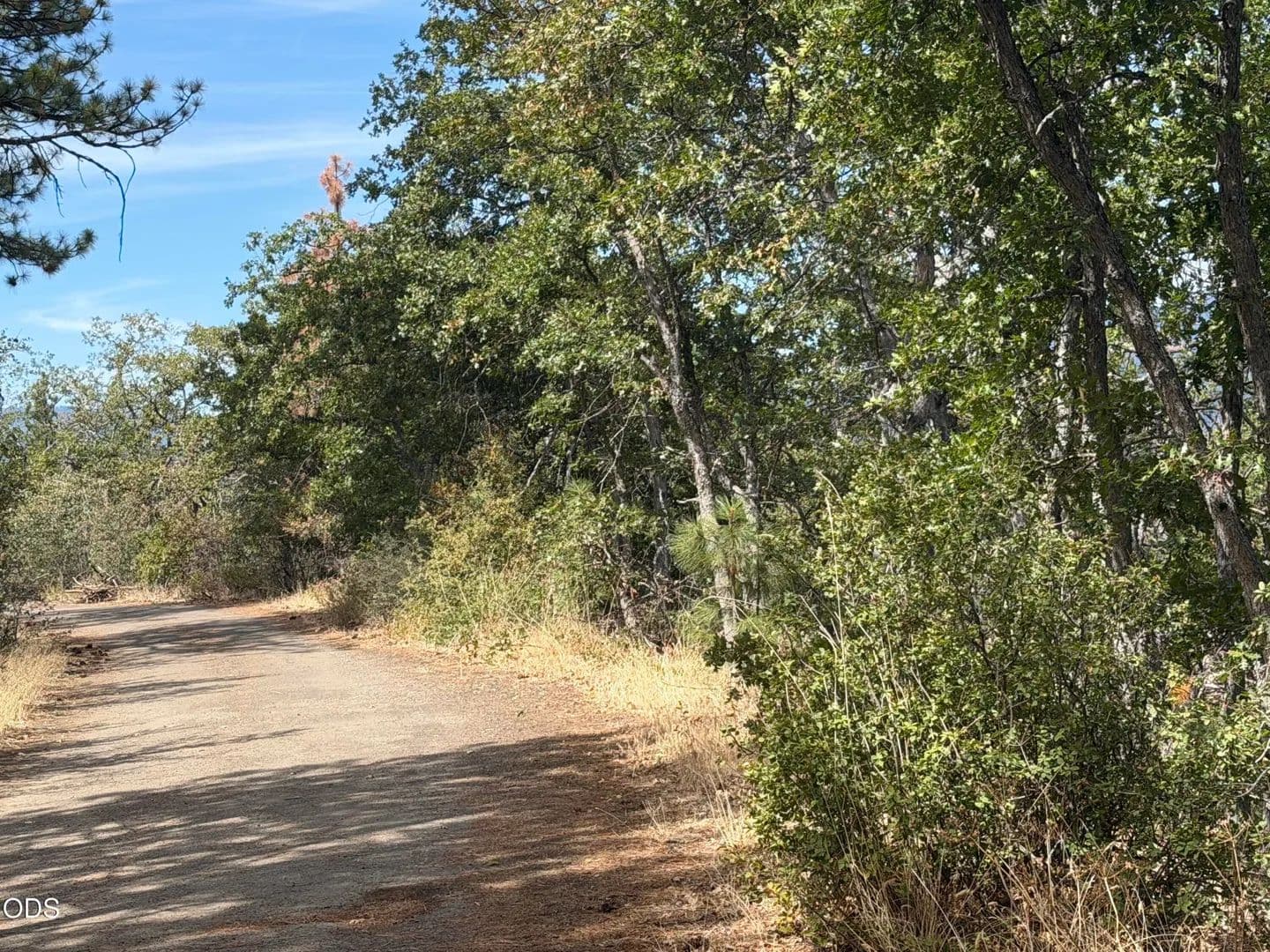 Lots & Land-Other in Ashland - Ashland, Oregon, 97520