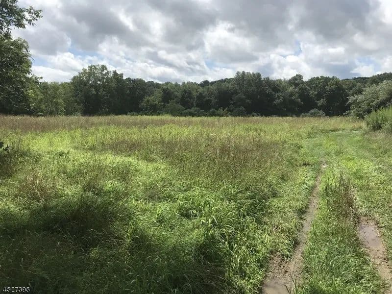 Vacant Land in Andover Twp.