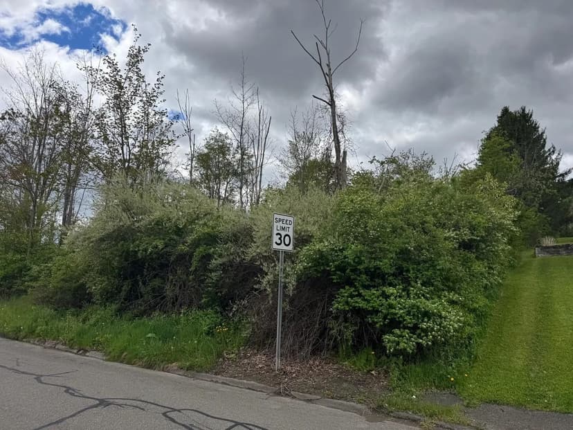 Property from 289 Lower Stella Ireland Road - KW