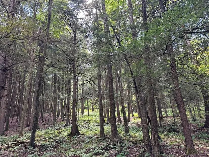 Property from 848 Ouaquaga Road - KW